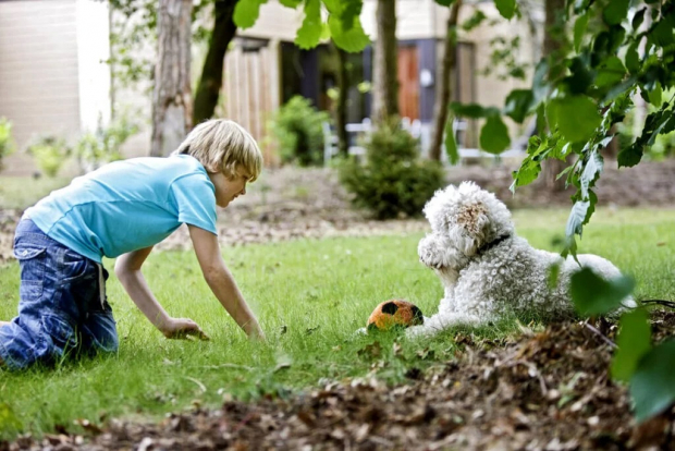 7 Huisdiervriendelijke Center Parcs Waar Je Hond óók Welkom is