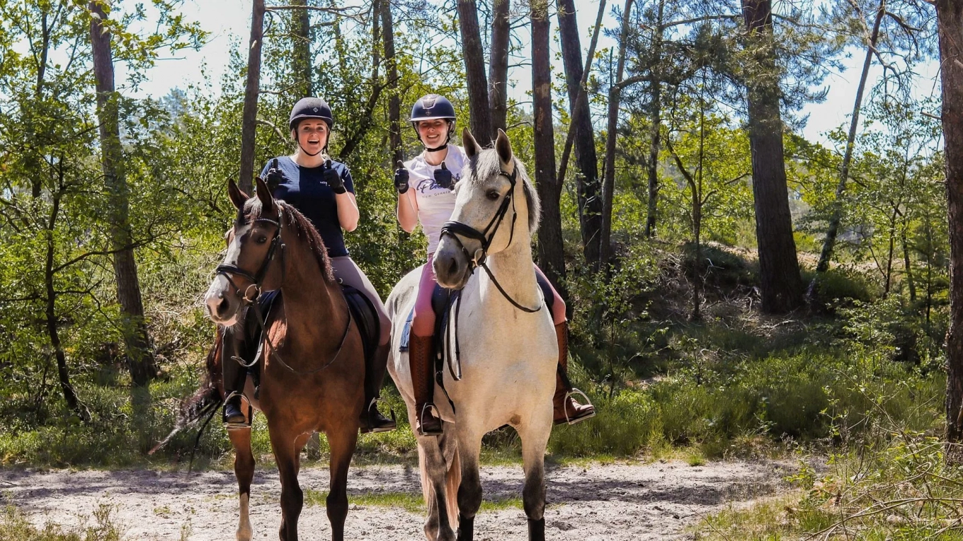 Ontdek de Magie van de Manege bij Camping Samoza