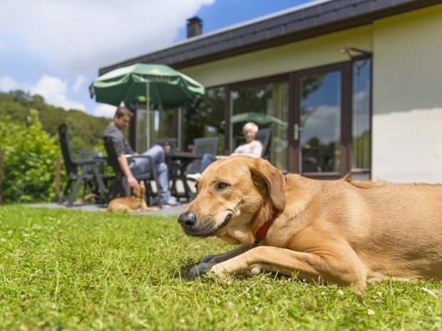 Vuurwerkvrije Vakantieparken voor een Vakantie met Hond