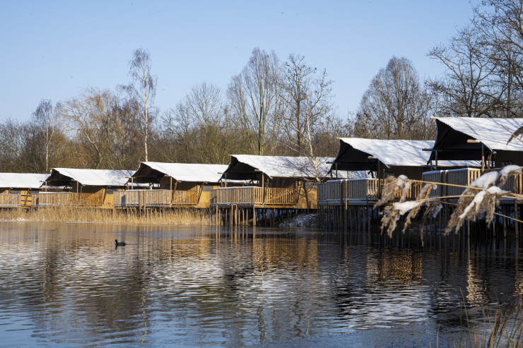 Vakantiepark BreeBronne