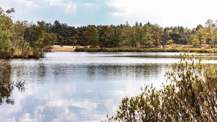 Park de Zeegser Duinen