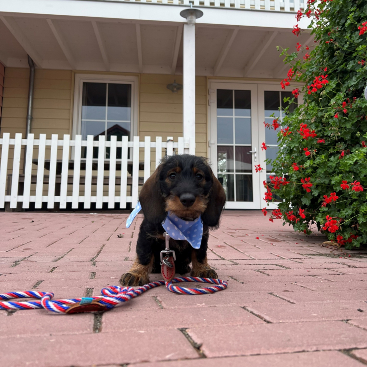 Familie Resort Molenwaard