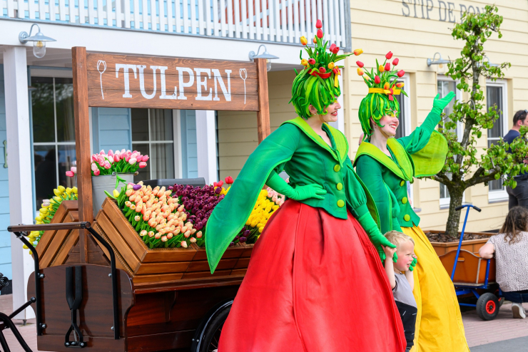 Familie Resort Molenwaard