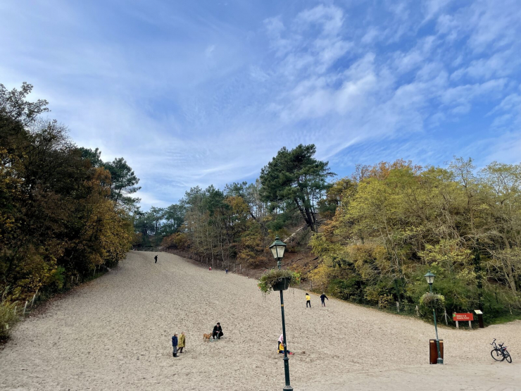 Bungalowpark Campanula