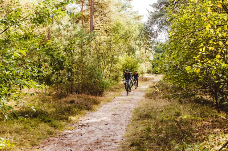 Vakantiepark Bos en Duin