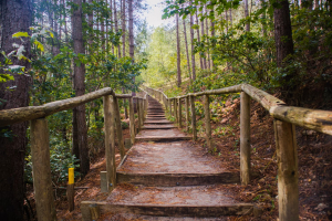 Dormio Park Scorleduyn