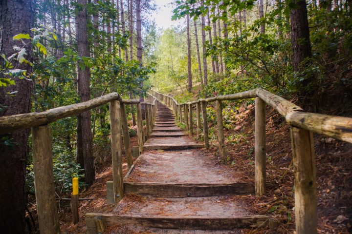 Dormio Park Scorleduyn