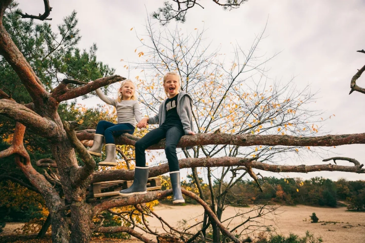 Roompot Park de Peel