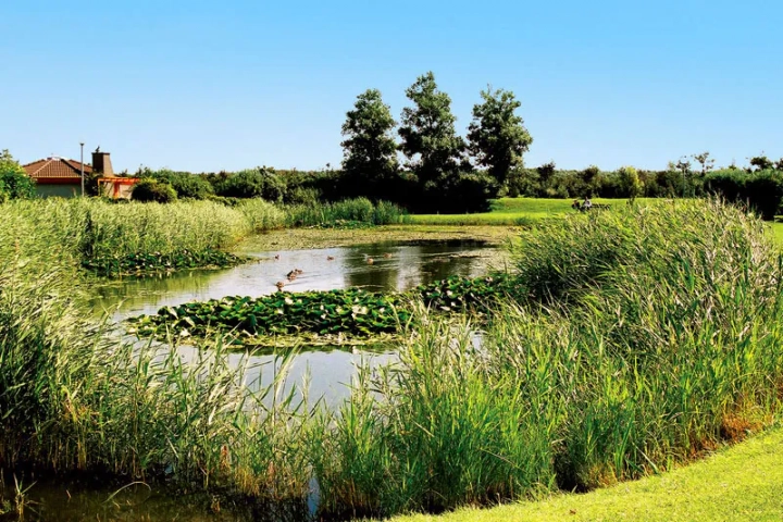 Villaparc Duynopgangh