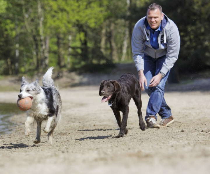Sunparks Kempense Meren (Mol)