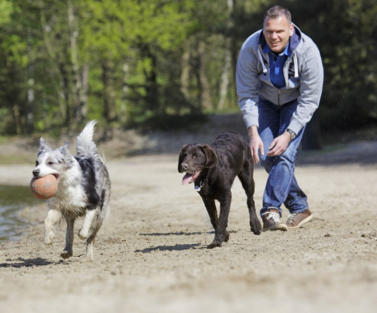 Sunparks Kempense Meren (Mol)
