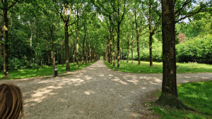 TopParken Lage Vuursche