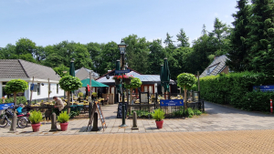 TopParken Lage Vuursche