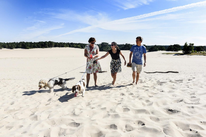 TopParken Lage Vuursche