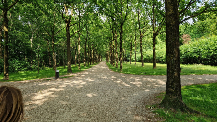 TopParken Lage Vuursche