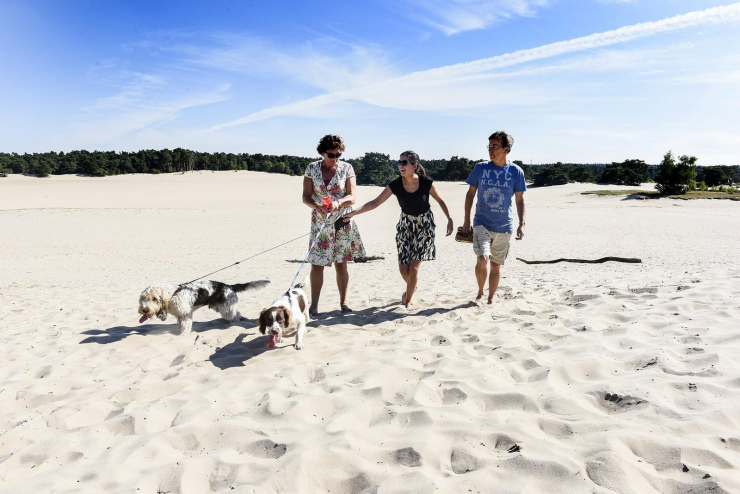 TopParken Lage Vuursche