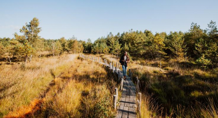 Villapark De Hondsrug