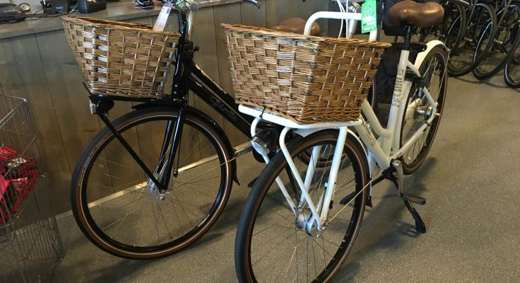 Villapark De Hondsrug