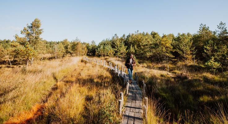 Villapark De Hondsrug