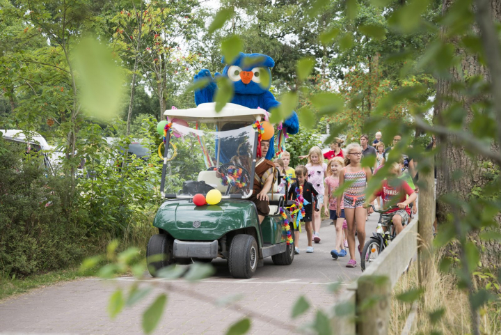 Kampeerdorp de Zandstuve