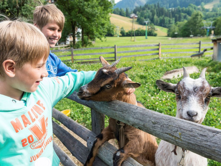 Landal Bad Kleinkirchheim
