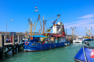 EuroParcs Bad MeerSee