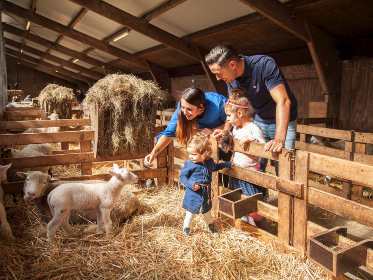 Landal Beach Park Texel