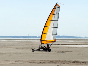 Landal Beach Resort Ooghduyne