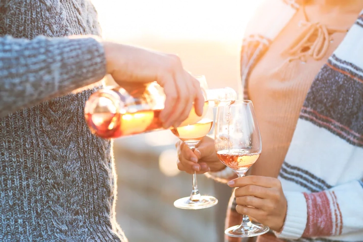 Beach Villa's Hoek van Holland