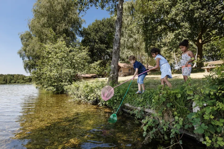 Lake Resort Beekse Bergen