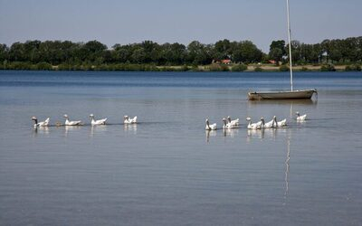 Resort Boschmolenplas