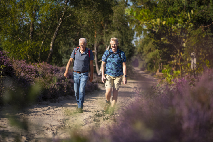 Buitenplaats Holten (Hölte)