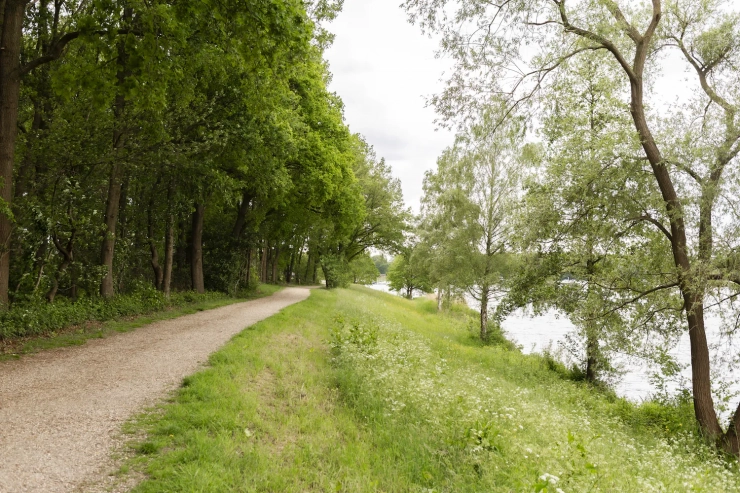 Vakantiepark De Riethorst