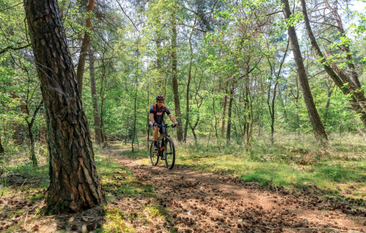 Camping de Holterberg