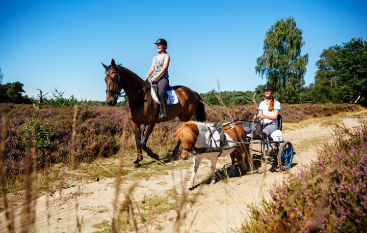 Camping de Holterberg