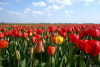 Camping Sint Maartenszee