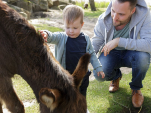 CenterParcs De Huttenheugte