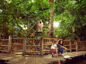 CenterParcs Kempervennen