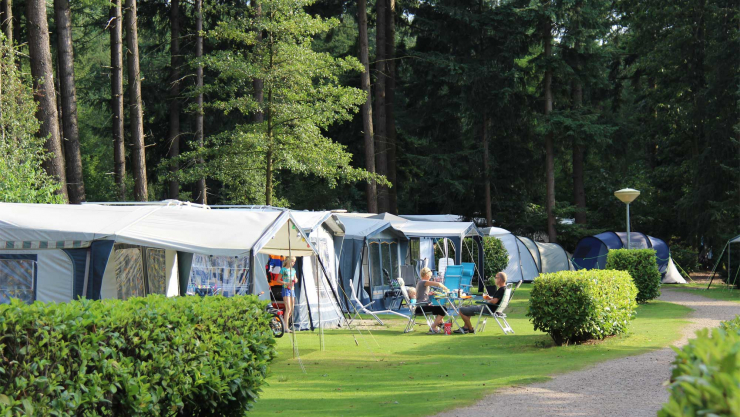 Molecaten Park De Leemkule