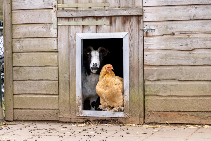 De Veluwse Hoevegaerde
