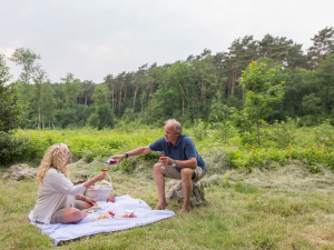 Landal De Vlinderhoeve