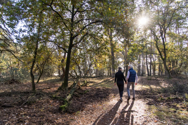 EuroParcs De Wije Werelt