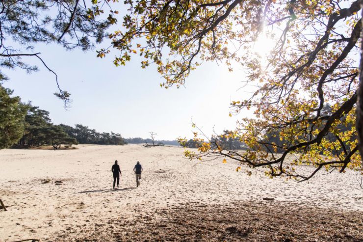 EuroParcs De Wije Werelt