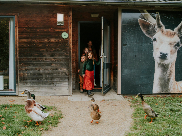 Vakantiepark Dierenbos