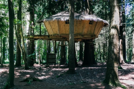 Domaine des Ormes
