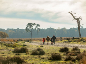 Summio Duc de Brabant