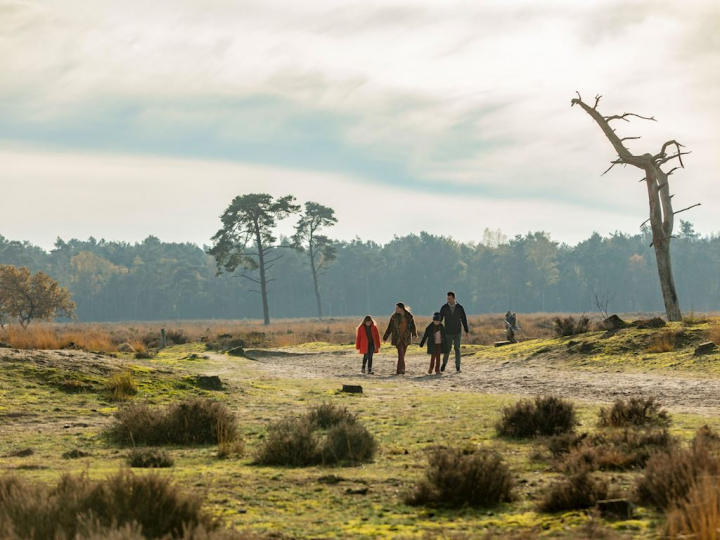 Summio Duc de Brabant