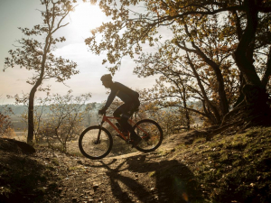 Landal Duinpark 't Hof van Haamstede