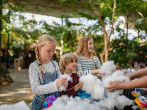 Center Parcs Erperheide