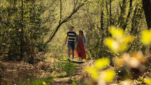 EuroParcs Hoge Kempen